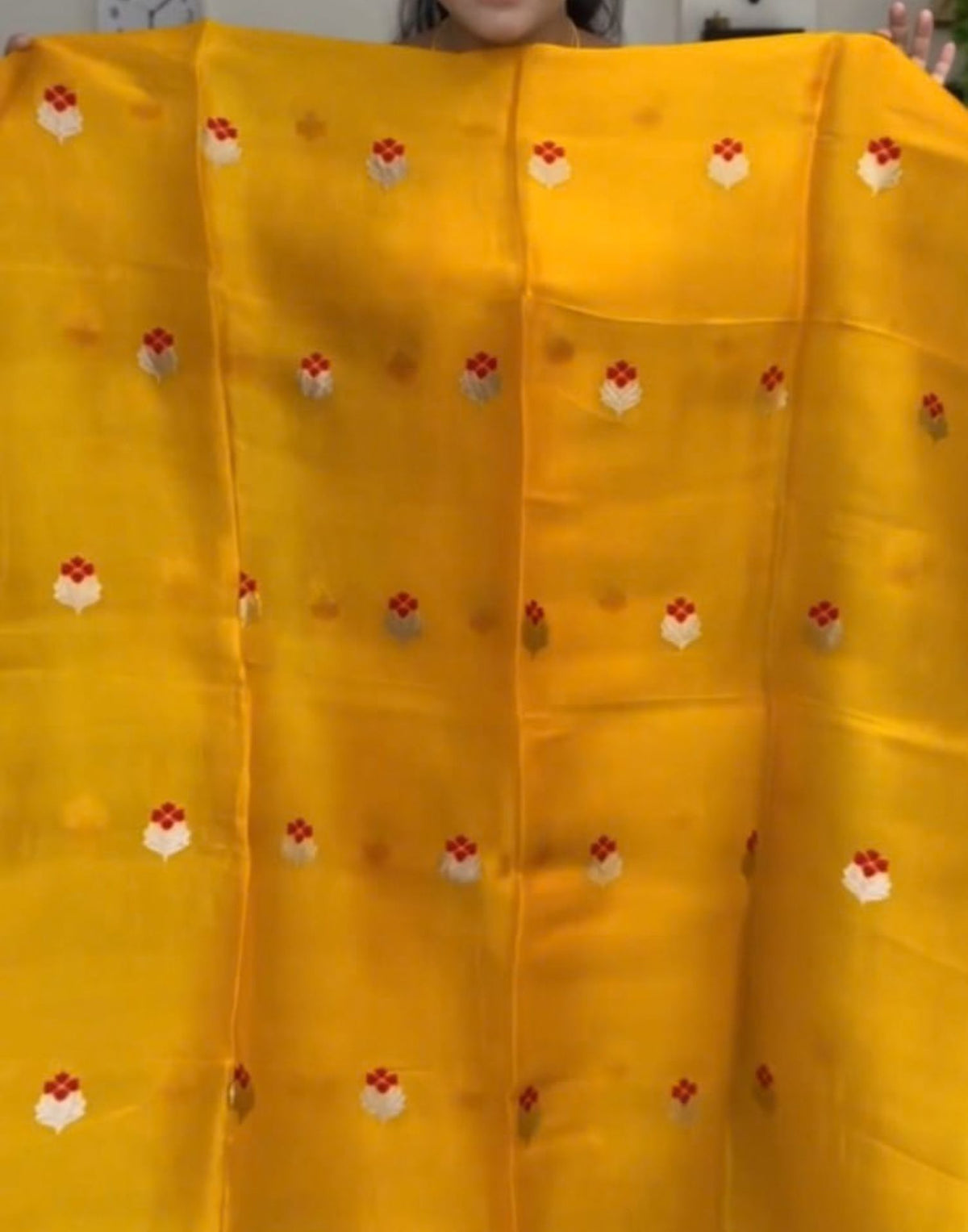 Kanaka Weave Zari Suit Set