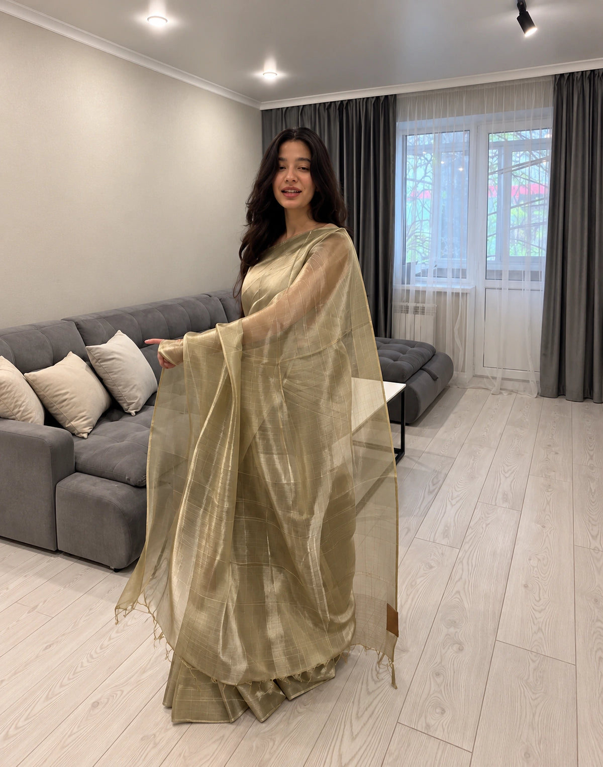 Nila Pani Tissue Silk Saree